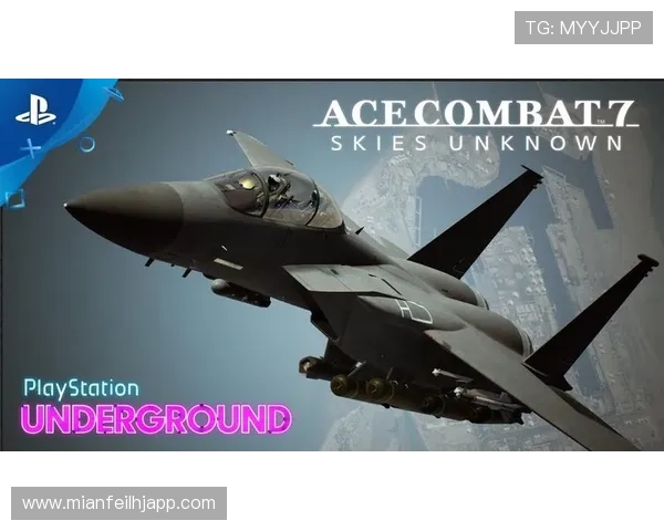 PlayAce官网最新版本下载与安装指南帮助玩家轻松体验丰富游戏内容